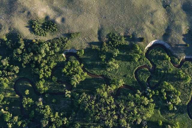 Winding Creek 2.jpg